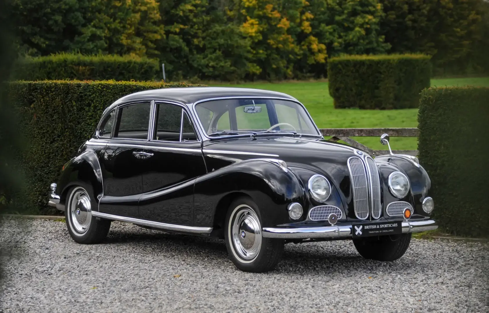Bmw 501